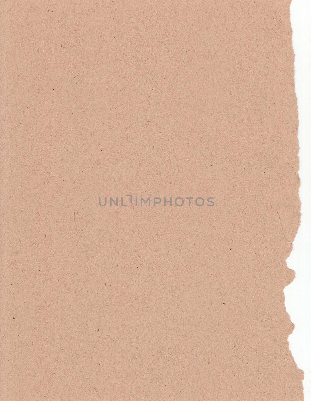 Recycled paper empty ripped material grunge design element card grainy grained flat brown