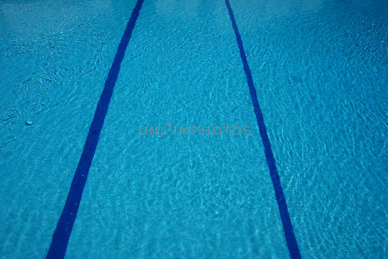 reflections in a swimming pool on a very sunny day