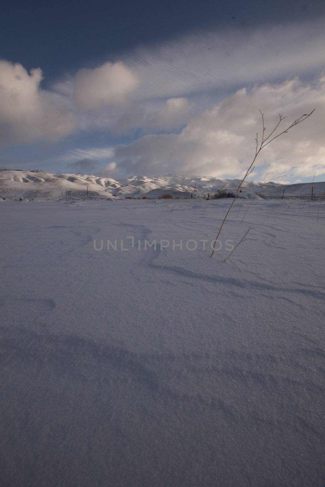 A snowy winter morning plain - countryside snow outdoor scene fr by jeremywhat