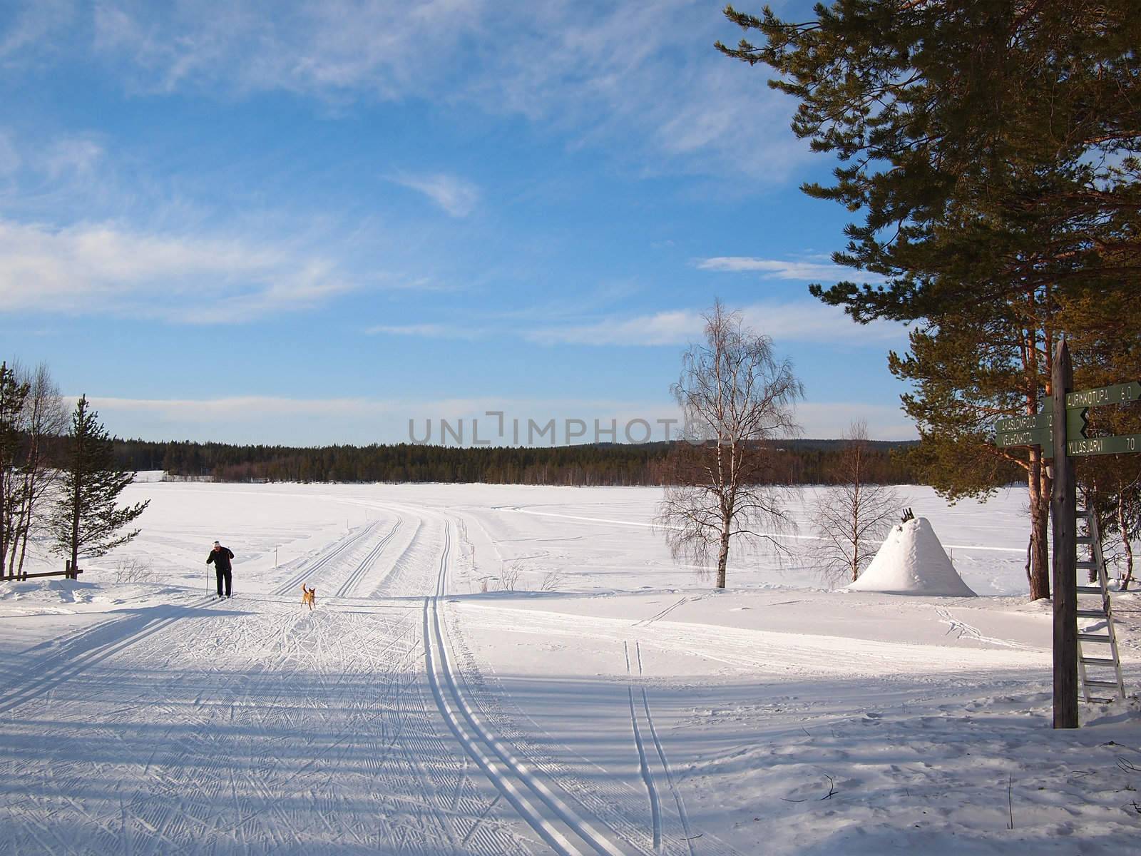 Cross-country tracks in Lapland by pljvv