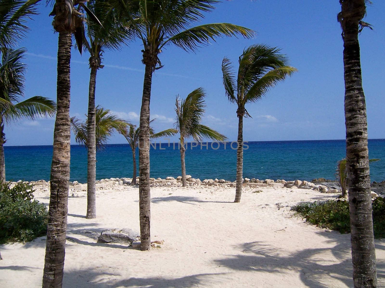 Very relaxing beach photograph at yucatan peninsula in Mexico.
