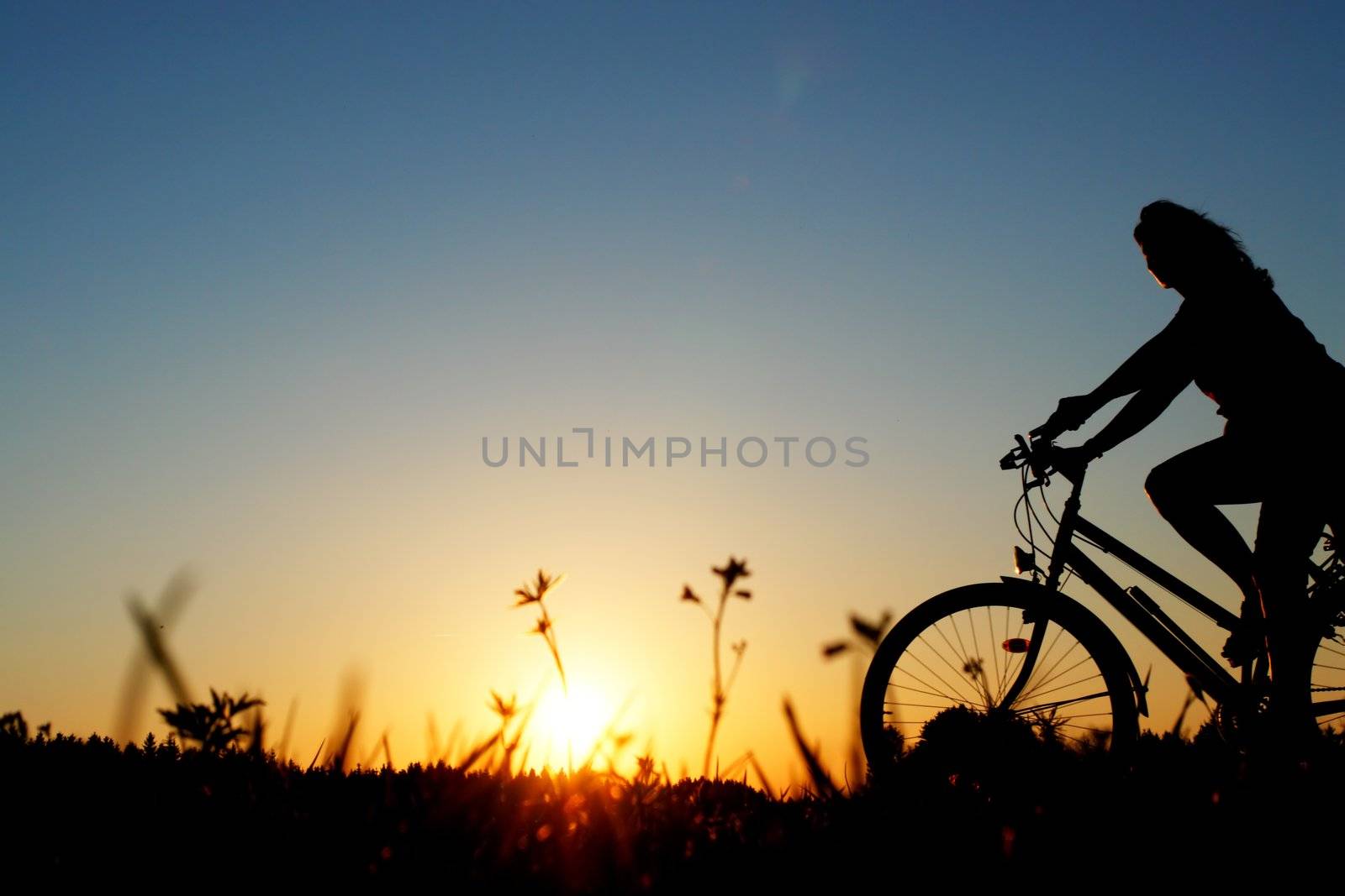 biker on a meadow at the sunset