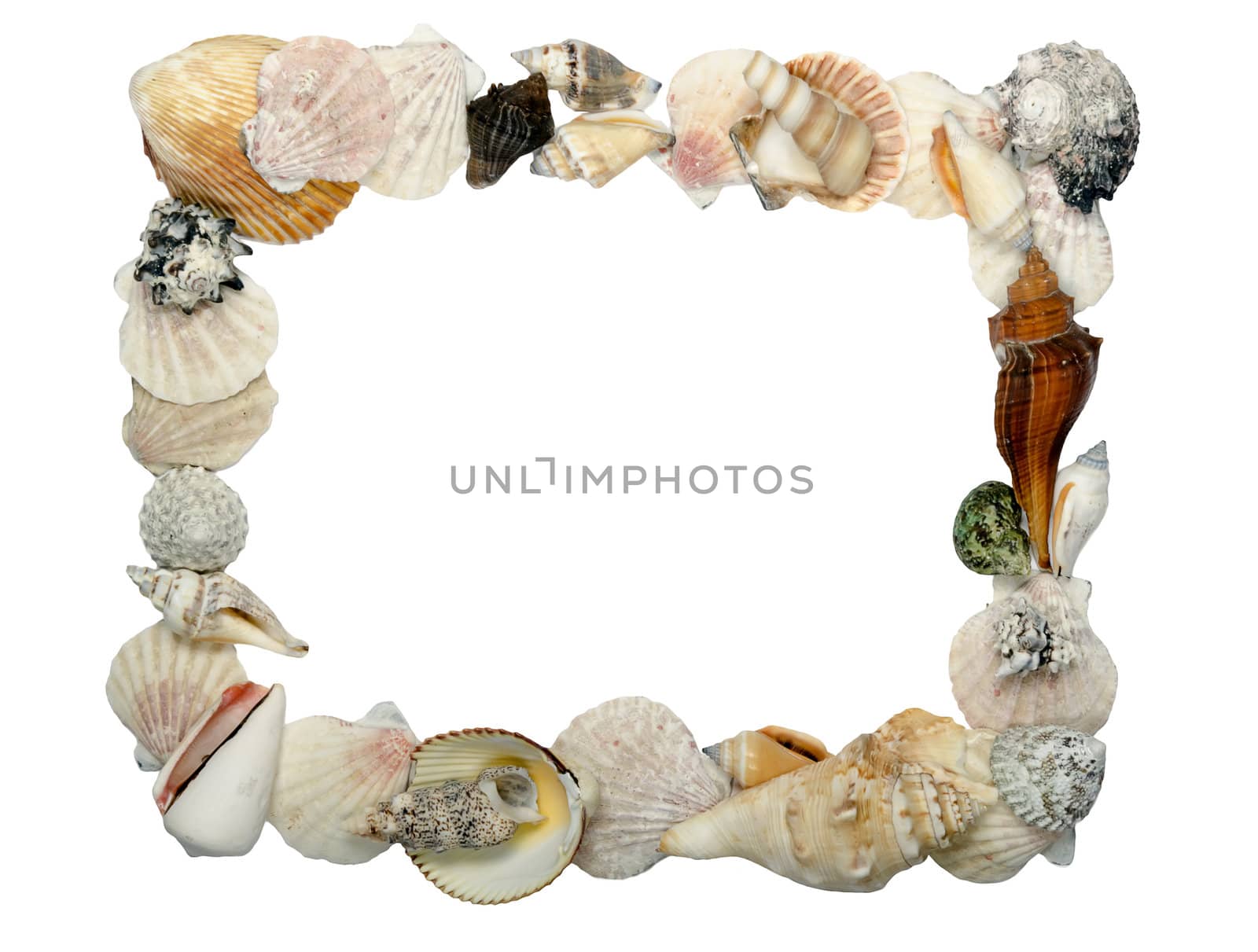 frame made of shells, place for text