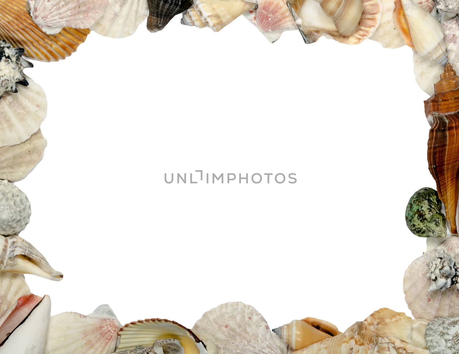 frame made of shells, place for text by dmitrimaruta