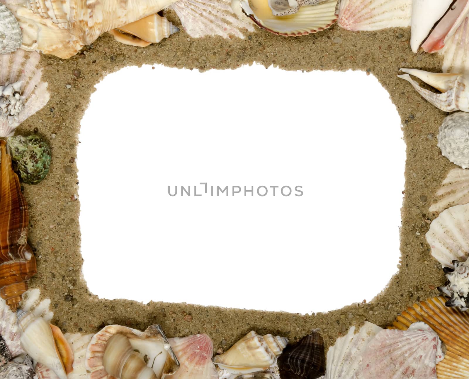frame made of shells, place for text by dmitrimaruta