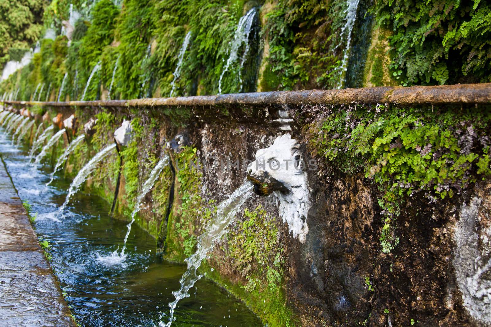 Detail of the luxury Villa d'Este in Tivoli, close to Rome - Italy