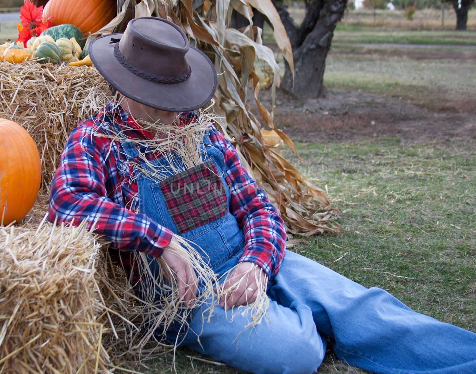 Lazy scarecrow is napping on the job.