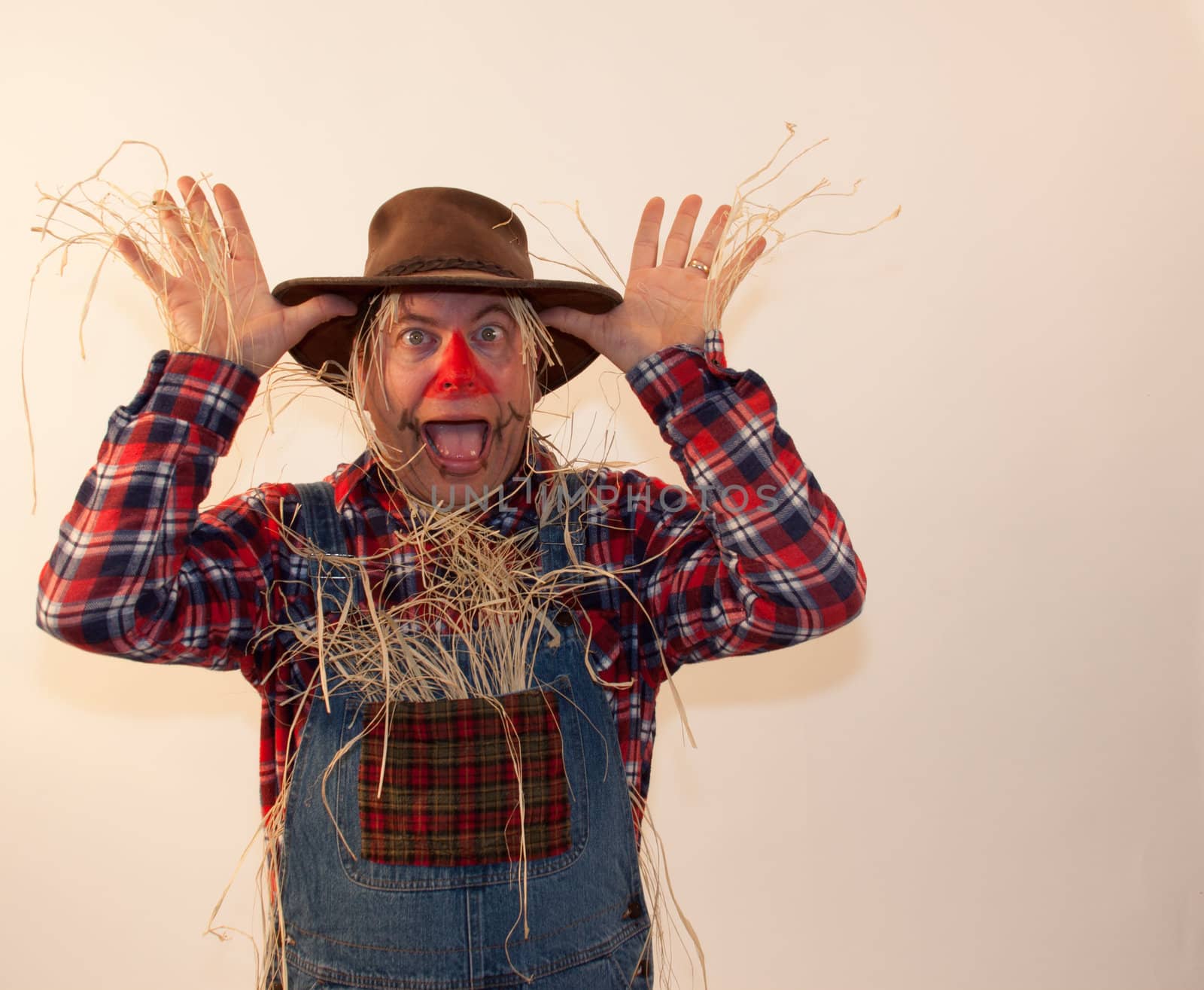 Scarecrow scaring birds from the field.