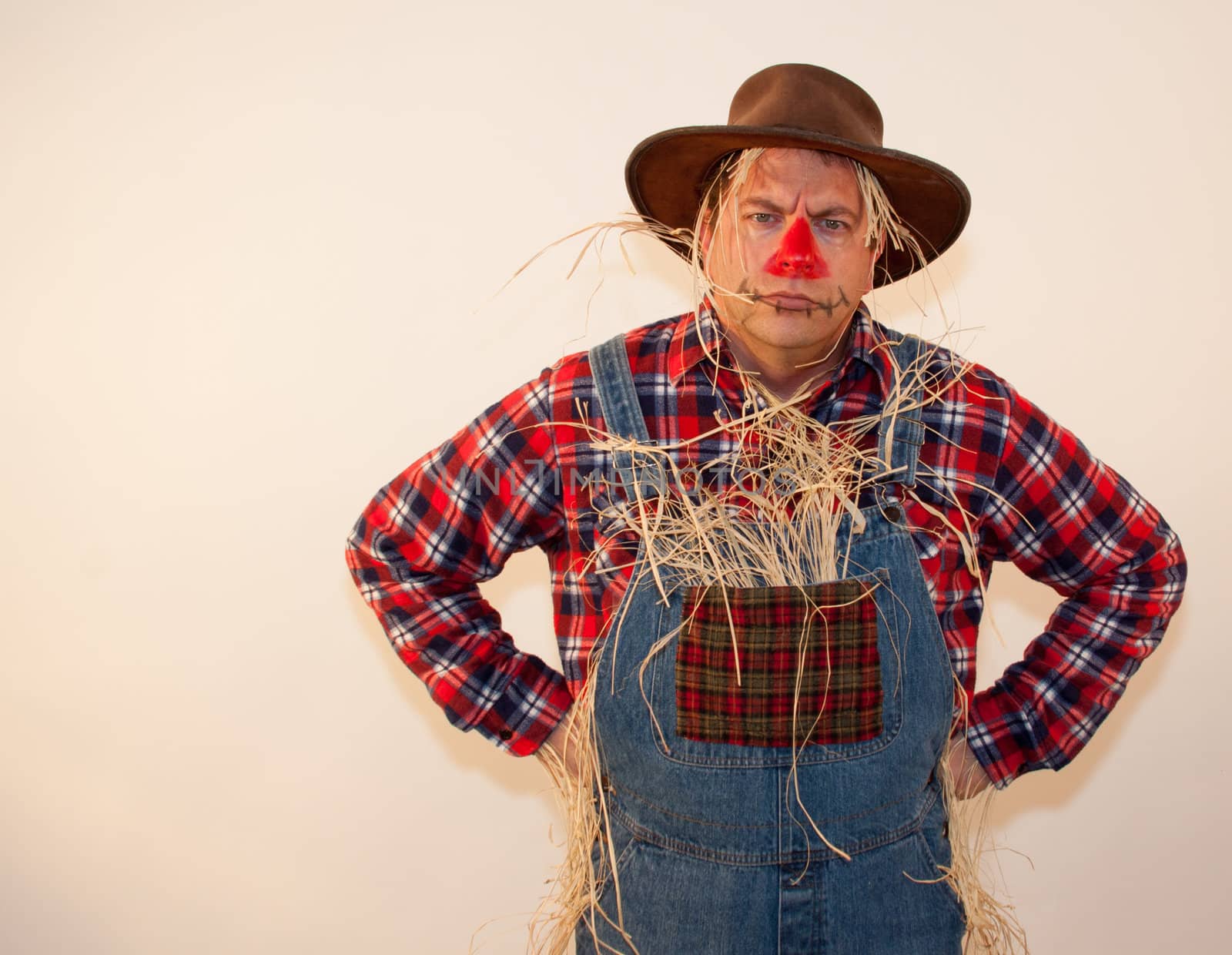 Scarecrow frowning with his hands on his hips.