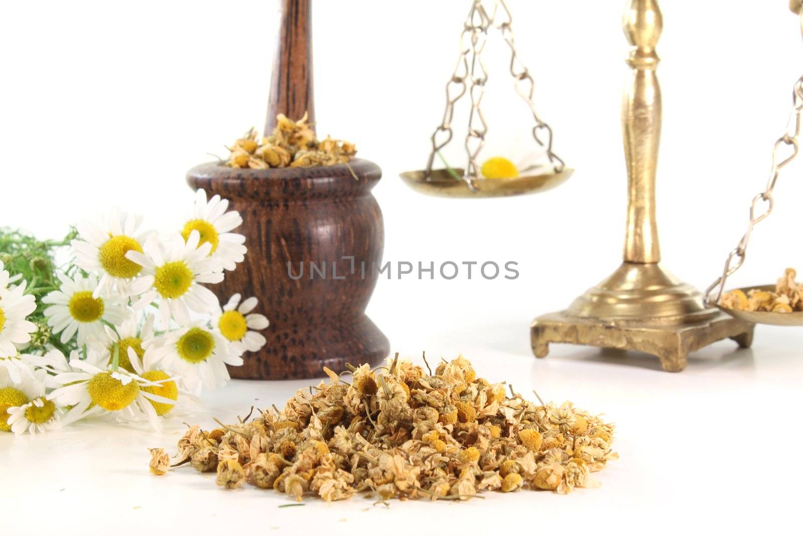 dried chamomile flowers with fresh chamomile and mortar and scales on white background