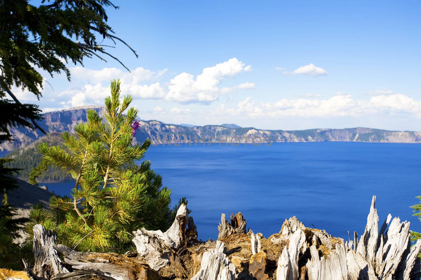 Scenic view of Crater Lake by jarenwicklund