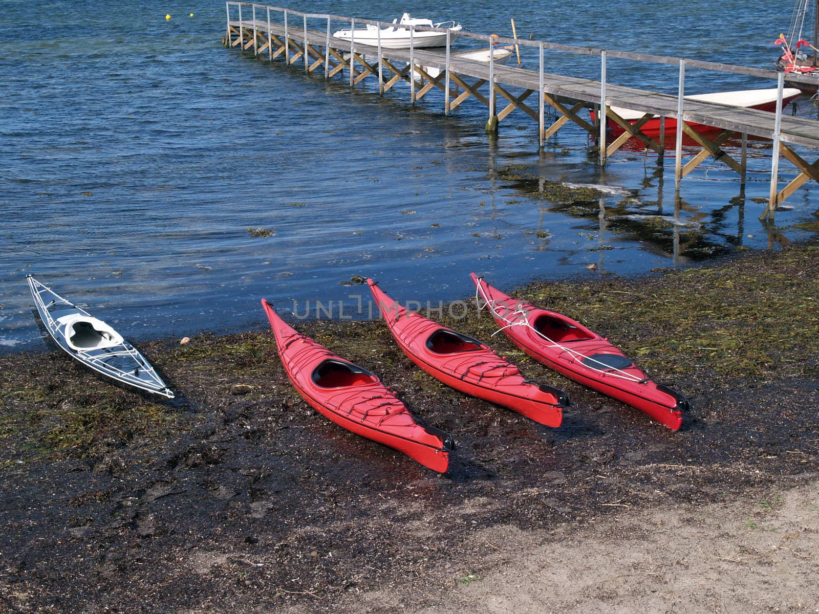 Colorful sea kayaks on the beach ready for extreme sport action