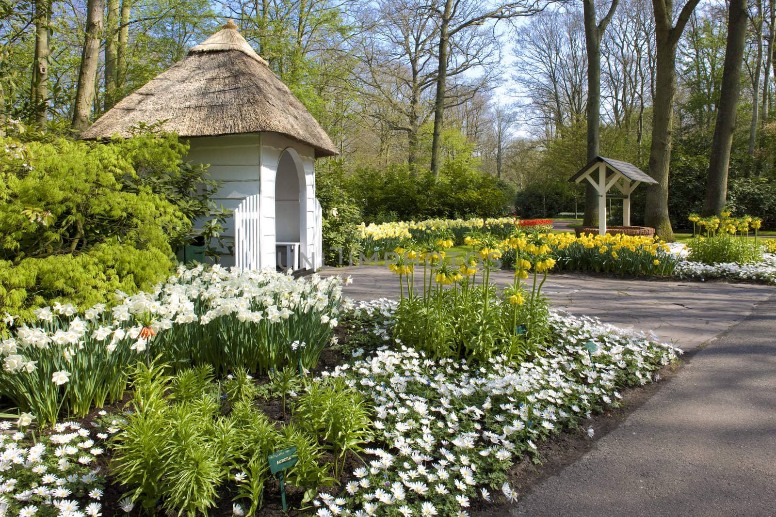Keukenhof Gardens, Lisse, Netherlands by phbcz