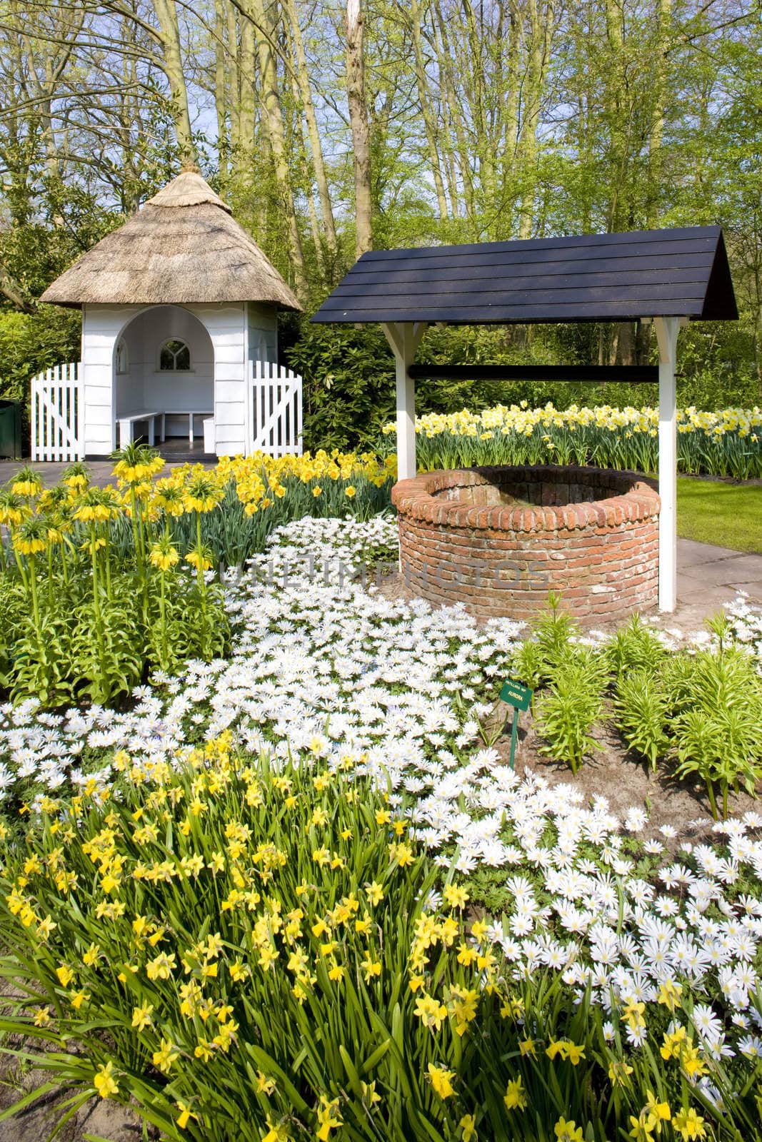 Keukenhof Gardens, Lisse, Netherlands