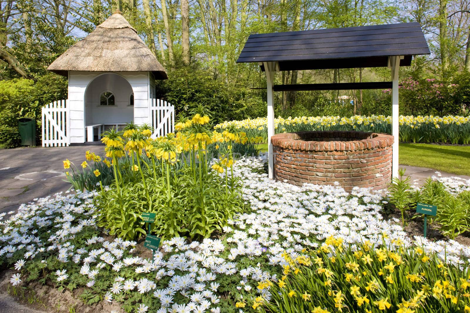 Keukenhof Gardens, Lisse, Netherlands by phbcz