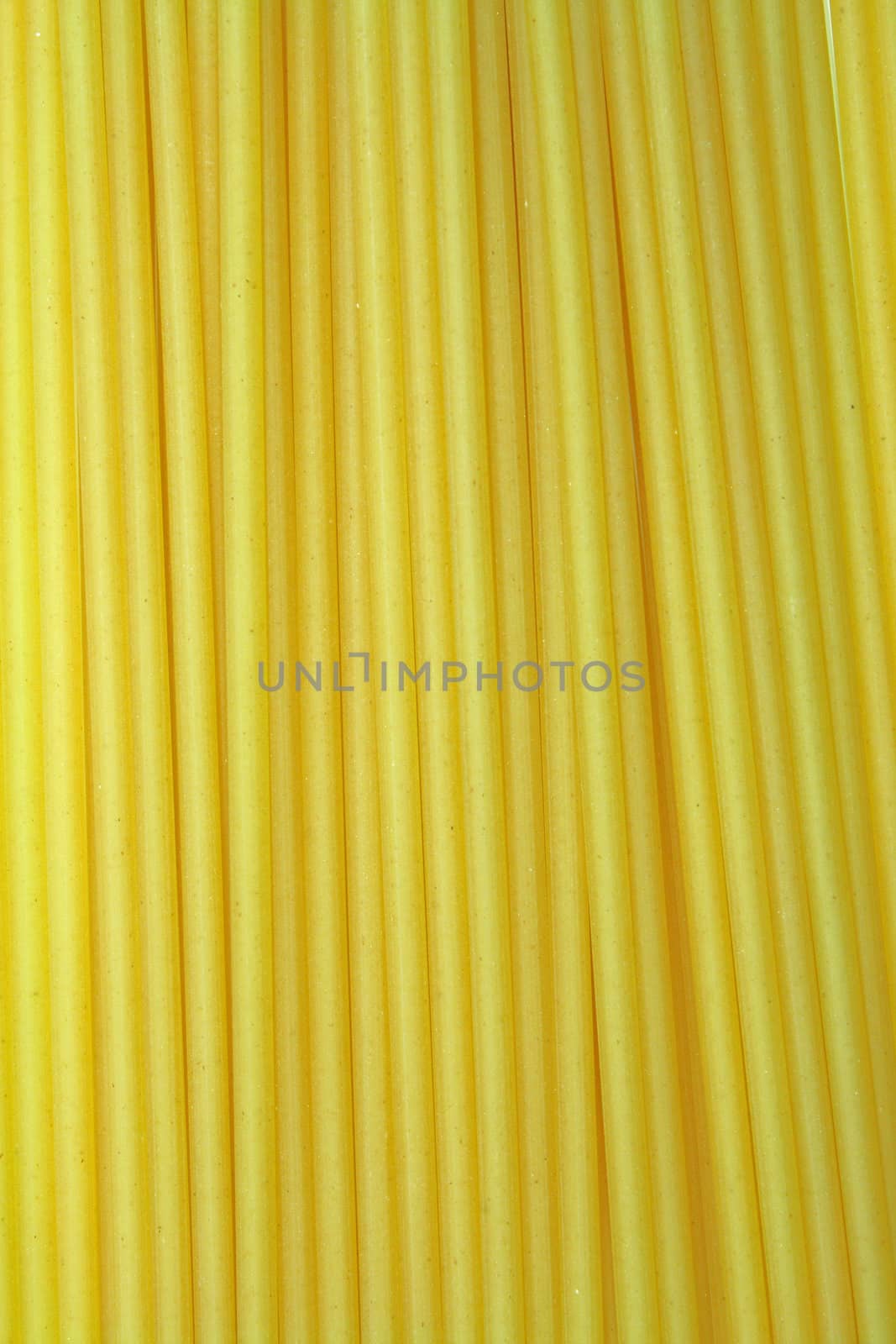 Close up of the background macaroni