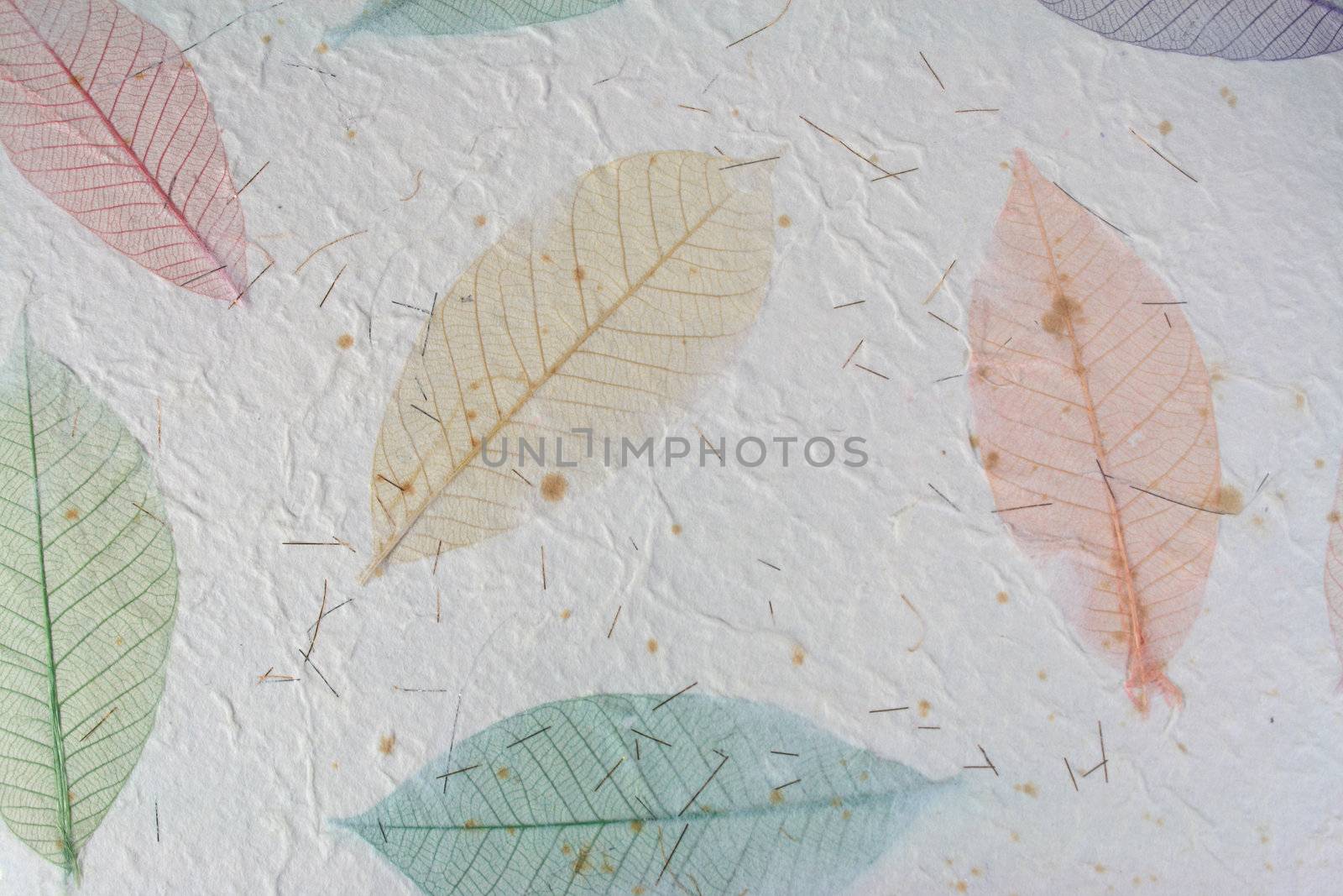 Paper with leaves by liewluck