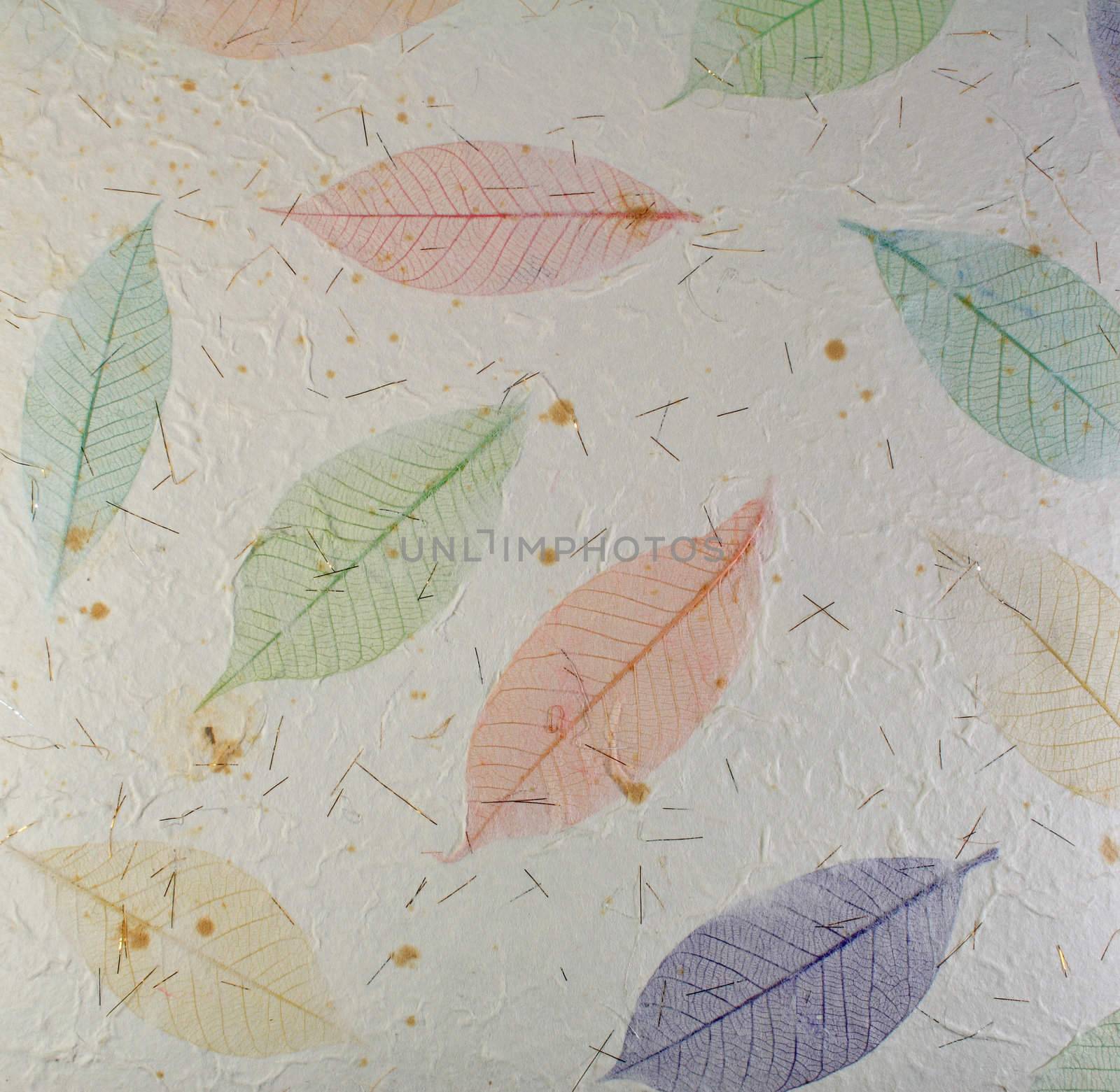 Paper with leaves for use as Natural Background