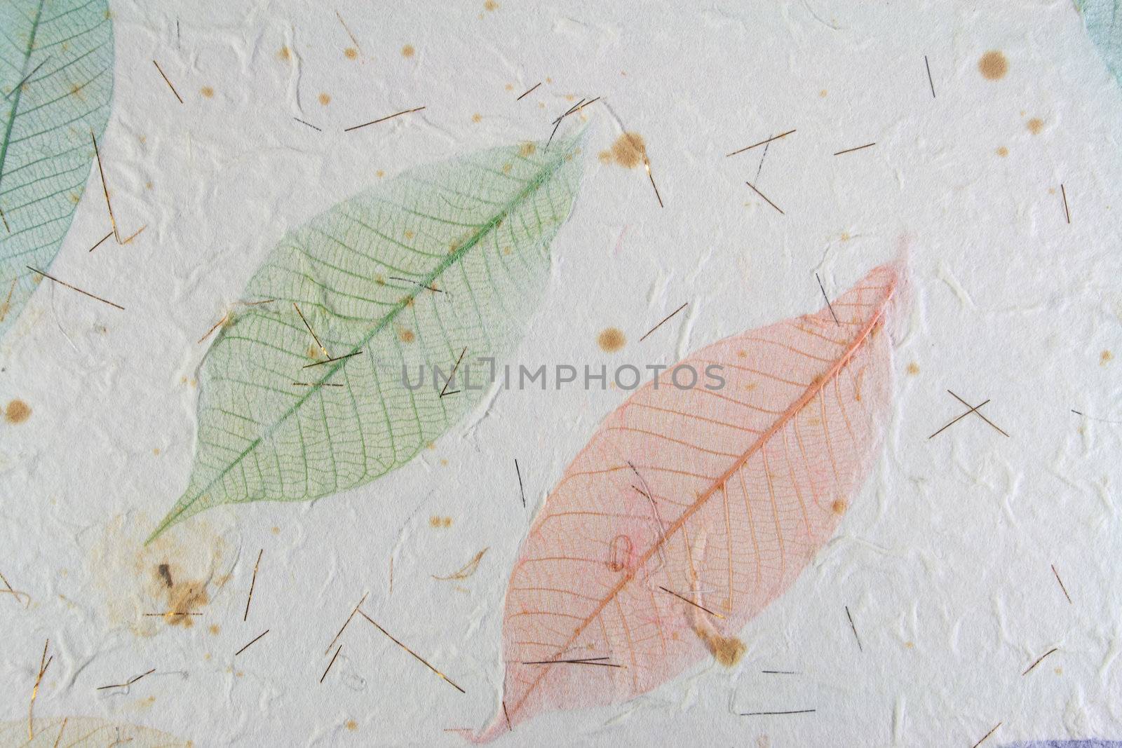 Paper with leaves for use as Natural Background