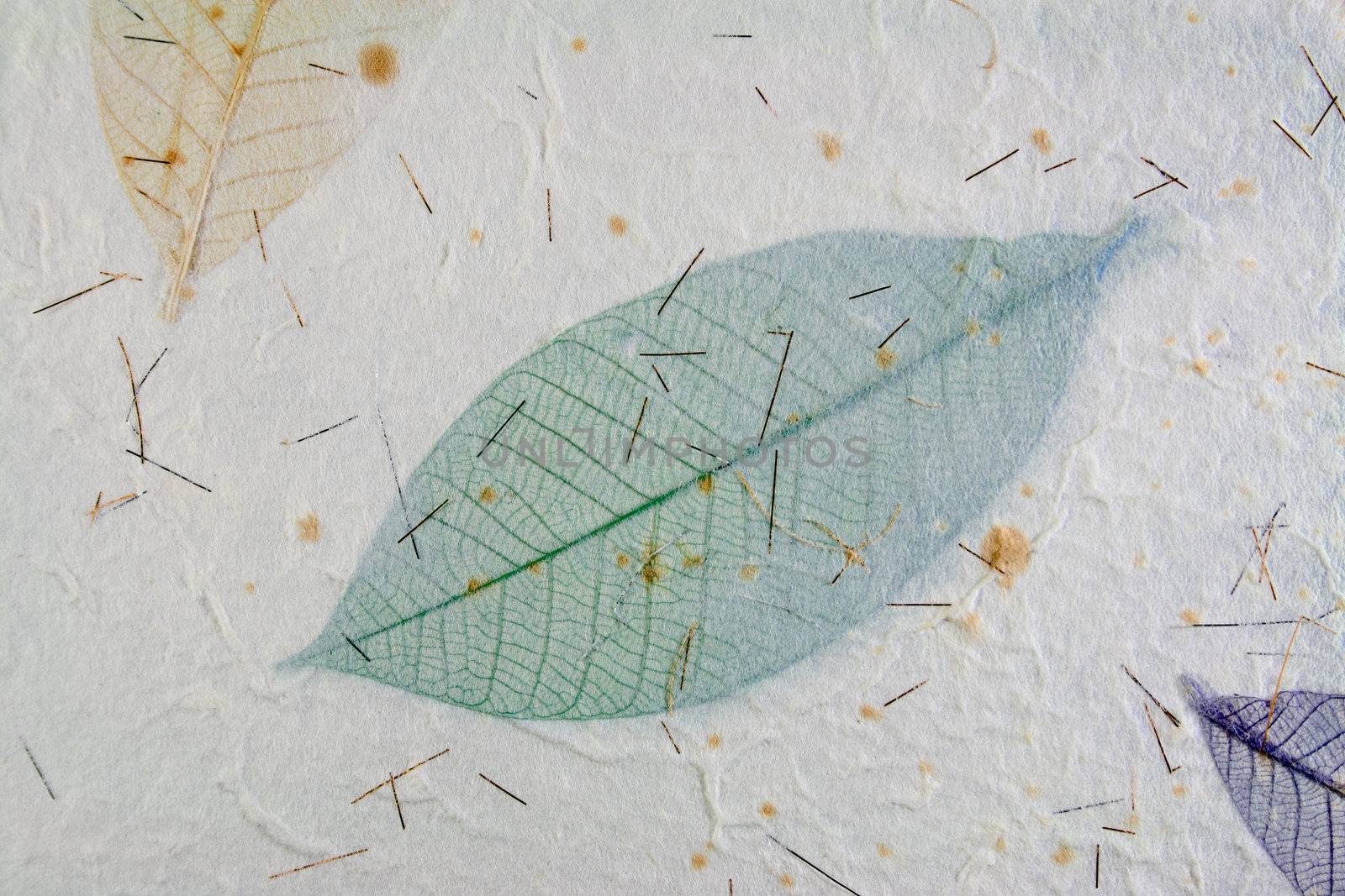 Paper with leaves for use as Natural Background