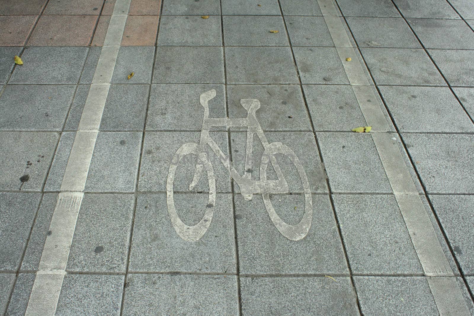 Bike lane in a city by liewluck