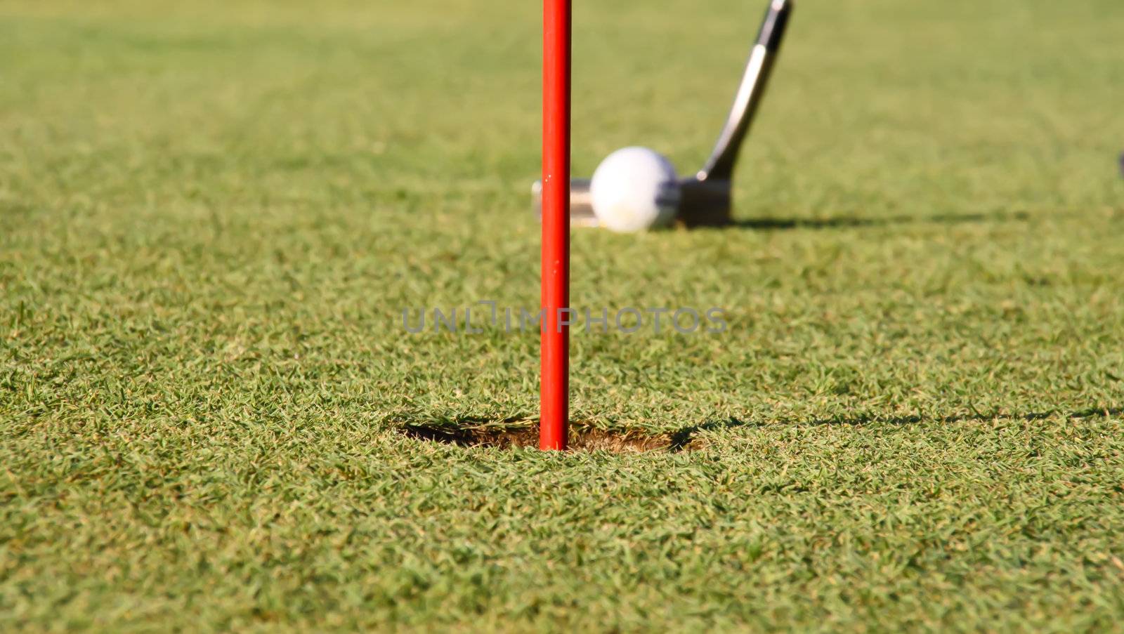 A club is hitting a golf ball on the green