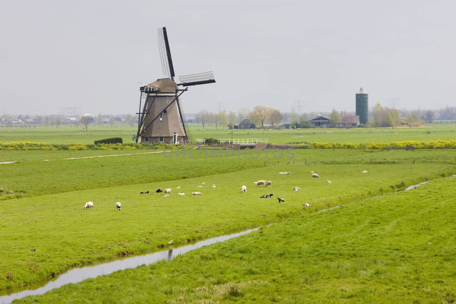 windmill near Steefkerk, Netherlands by phbcz