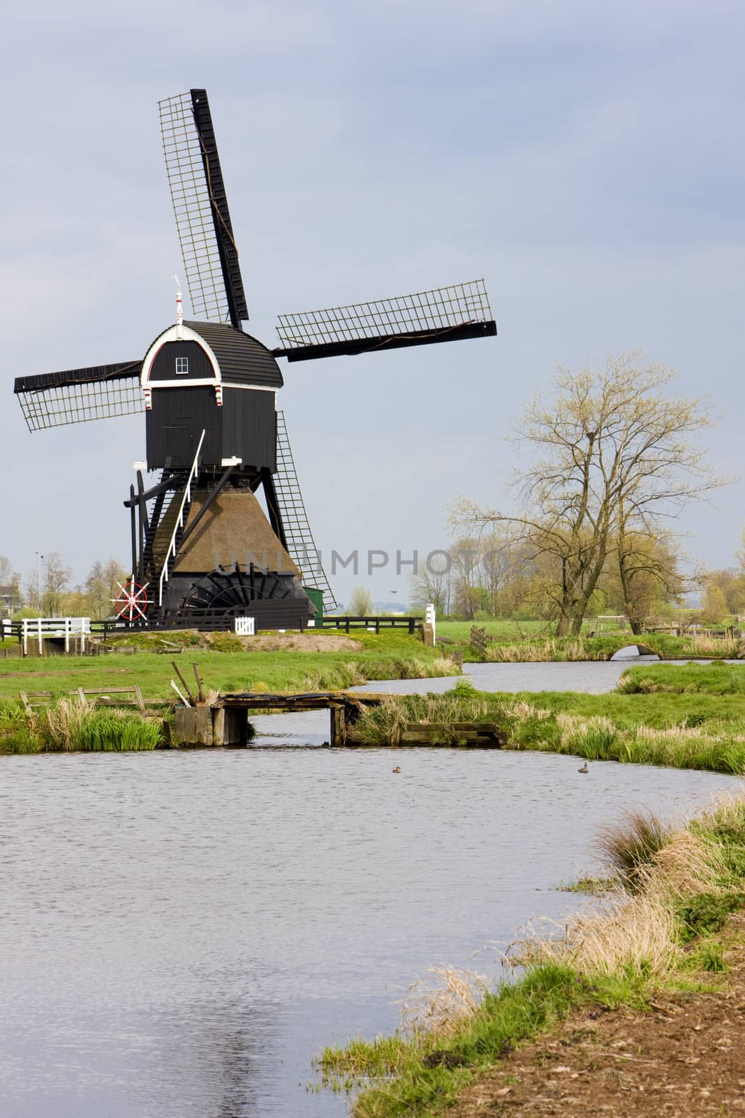 windmill near Steefkerk, Netherlands by phbcz