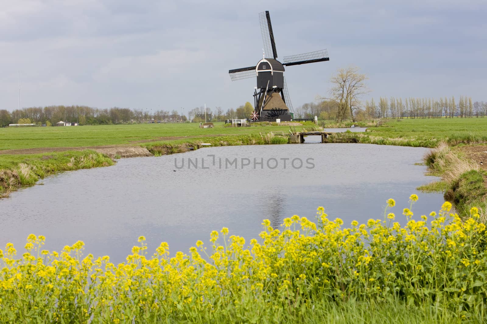 windmill near Steefkerk, Netherlands by phbcz