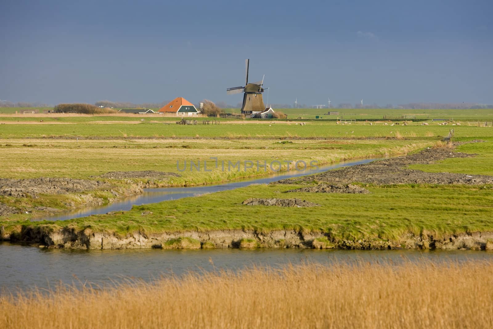 windmill, Netherlands