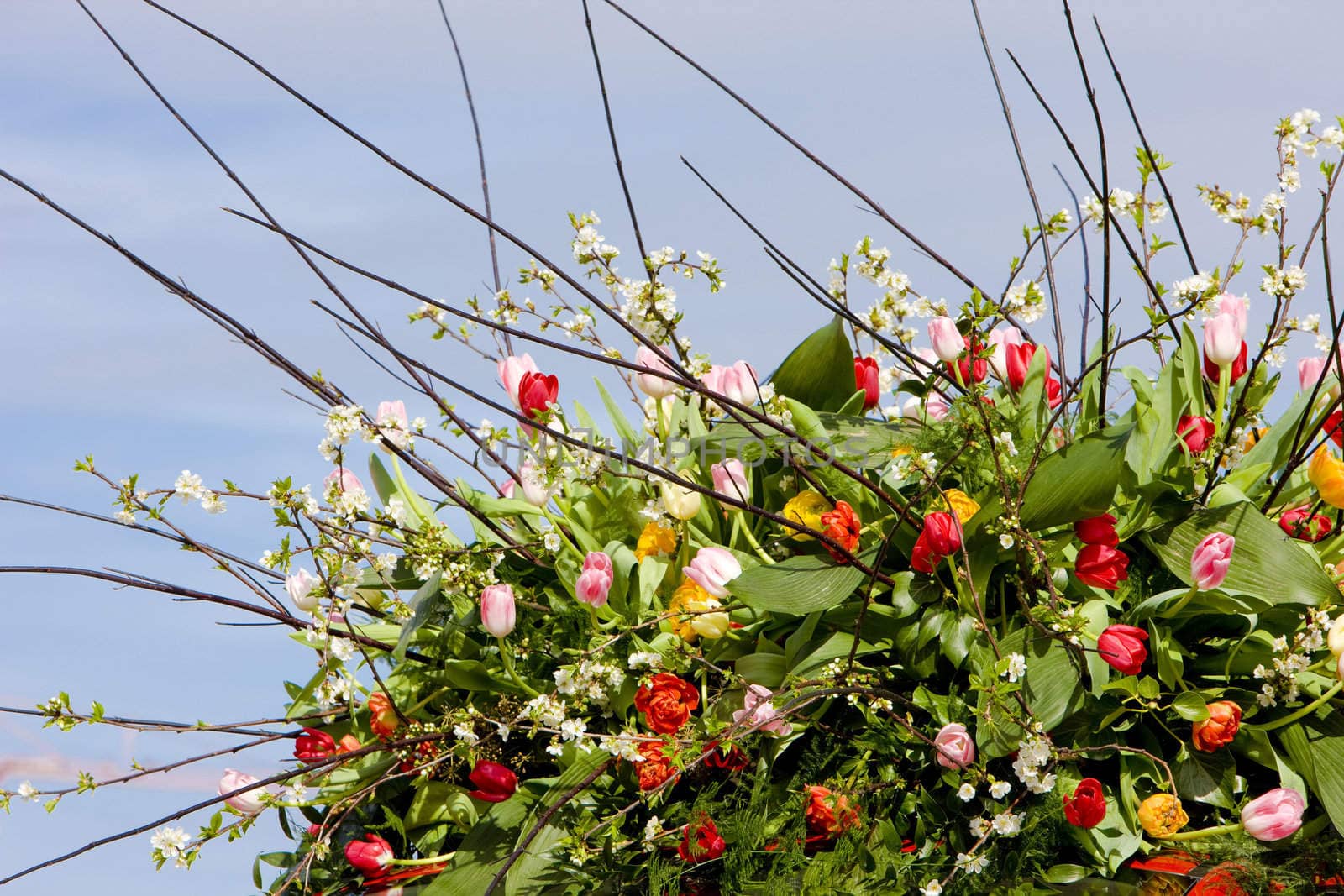 bouquet, Flower Parade, Noordwijk, Netherlands