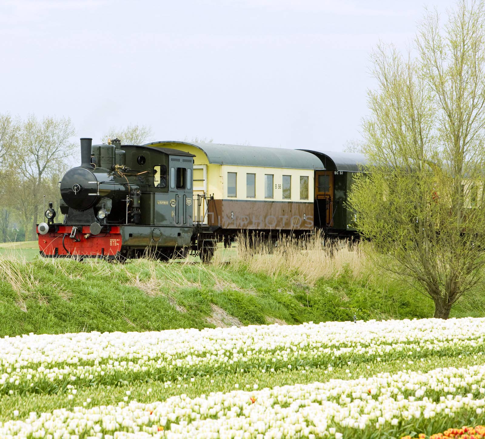 steam train, Hoorn - Medemblik, Noord Holland, Netherlands by phbcz