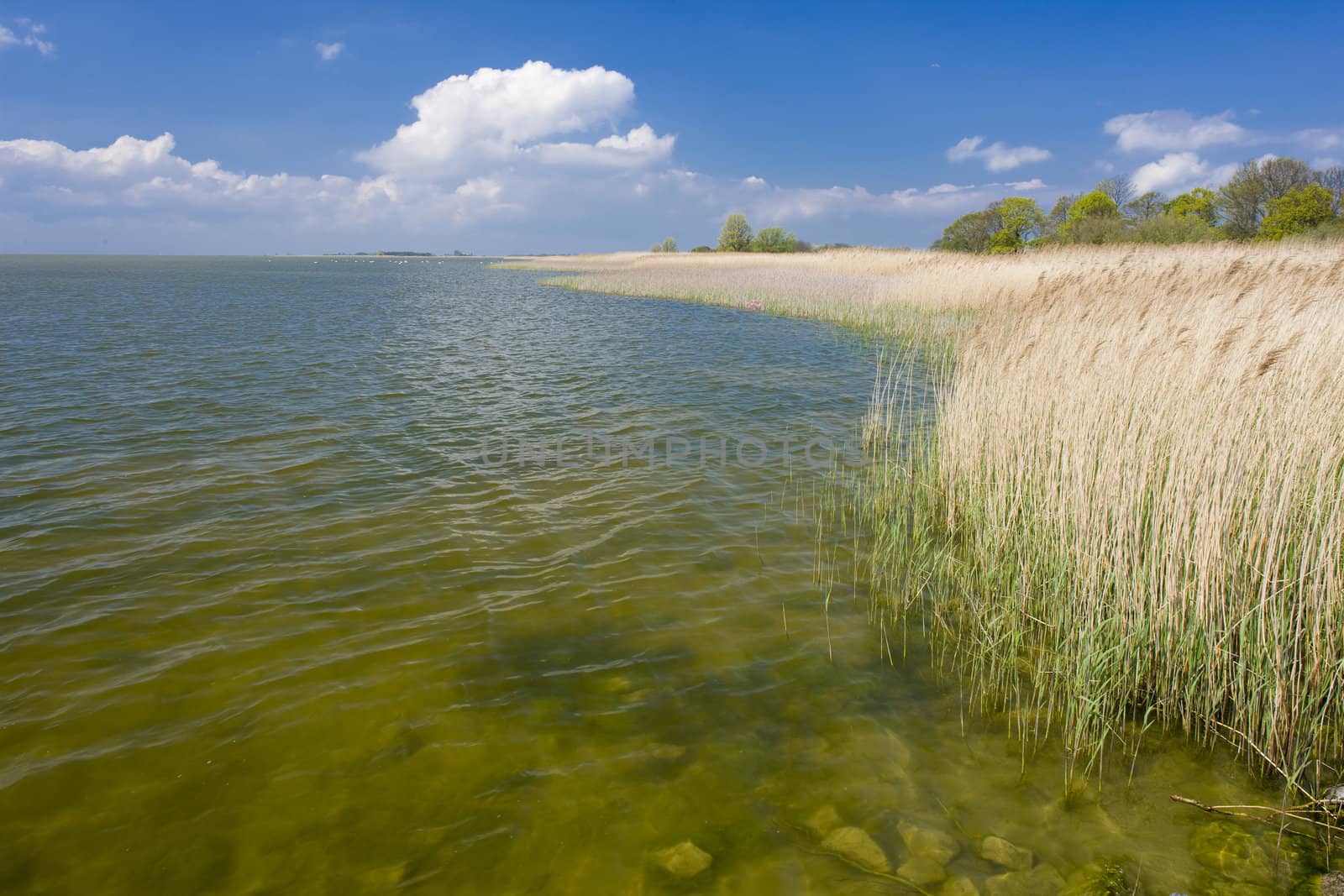 seascape, Friesland, Netherlands by phbcz