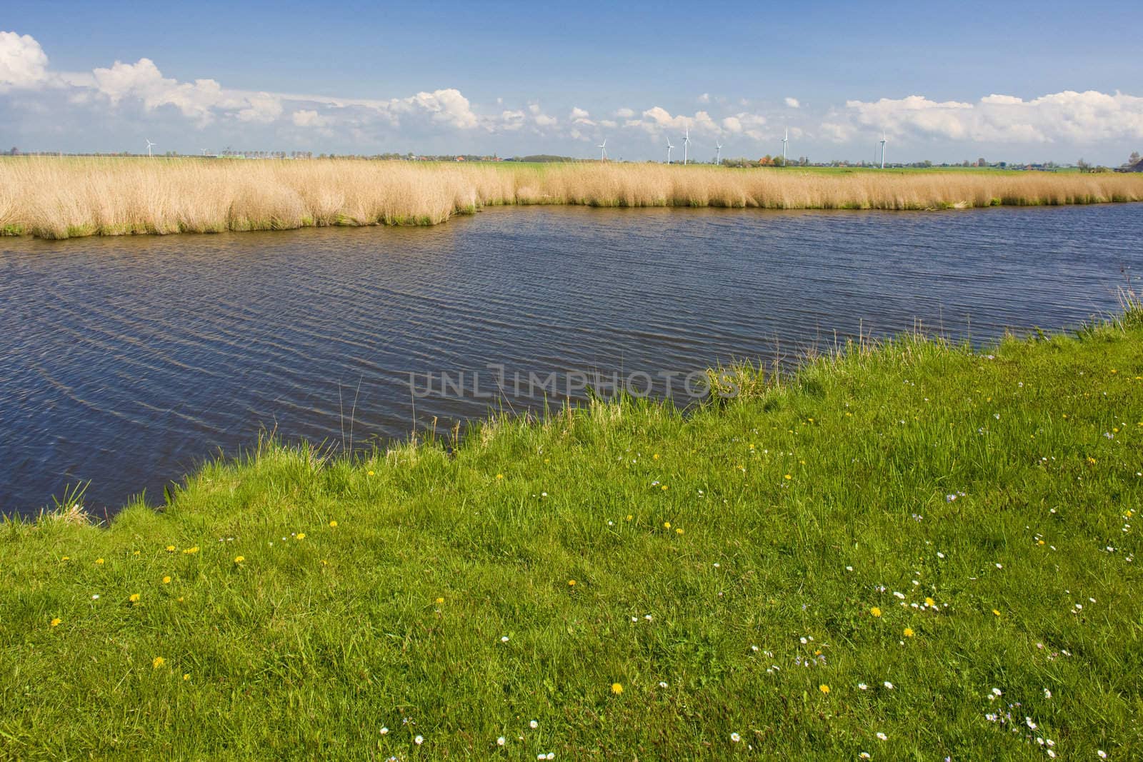 landscape, Friesland, Netherlands