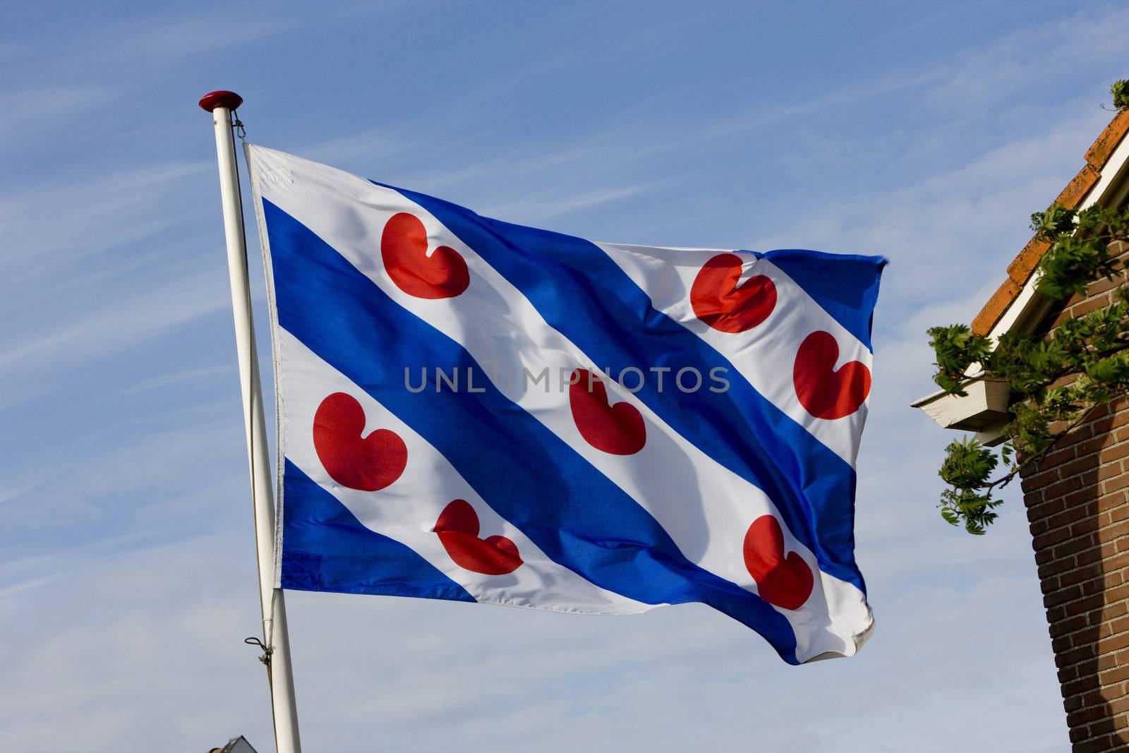 the Friesland flag, Netherlands by phbcz