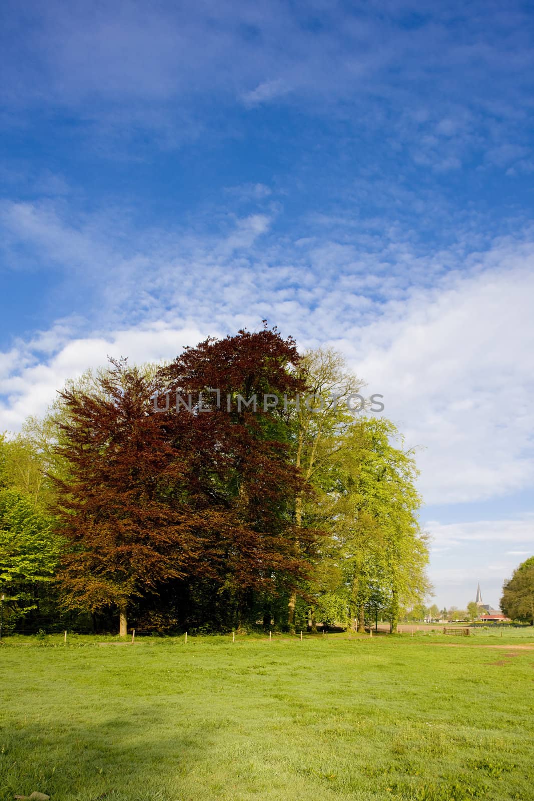 landscape, Gelderland, Netherlands by phbcz