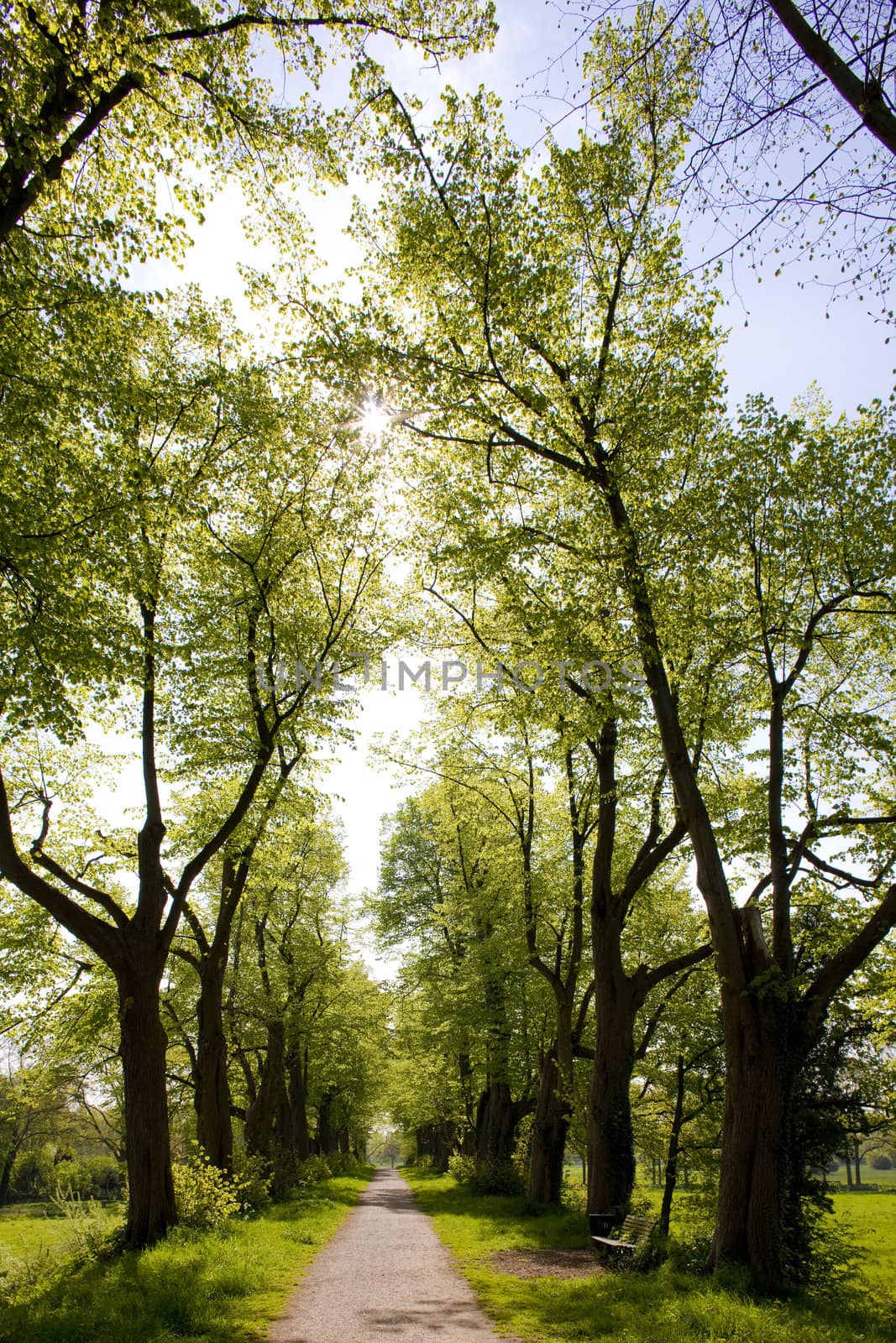 alley, Gelderland, Netherlands