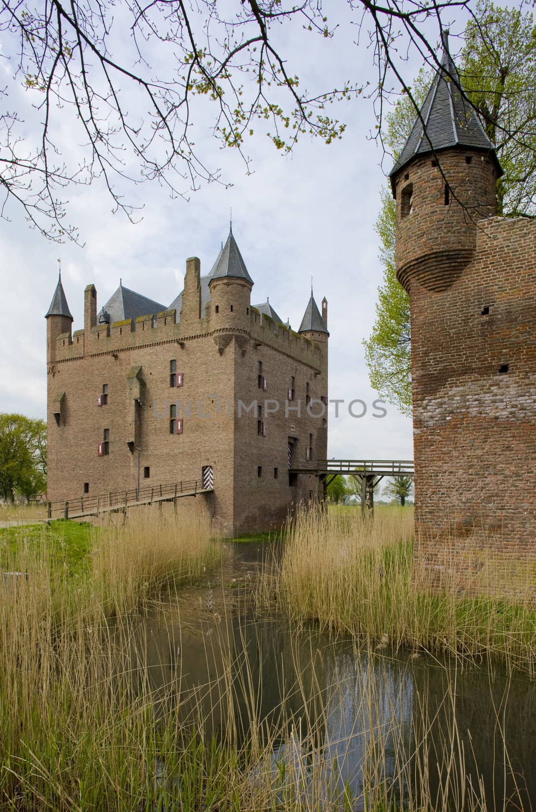 Doornenburg, Netherlands by phbcz