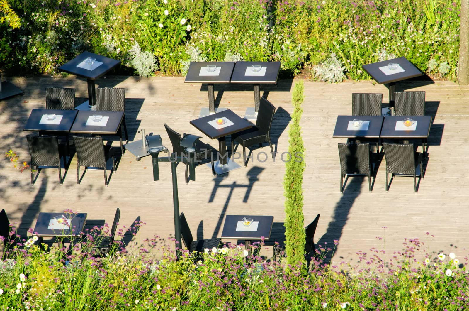 the terrace surrounded by nature