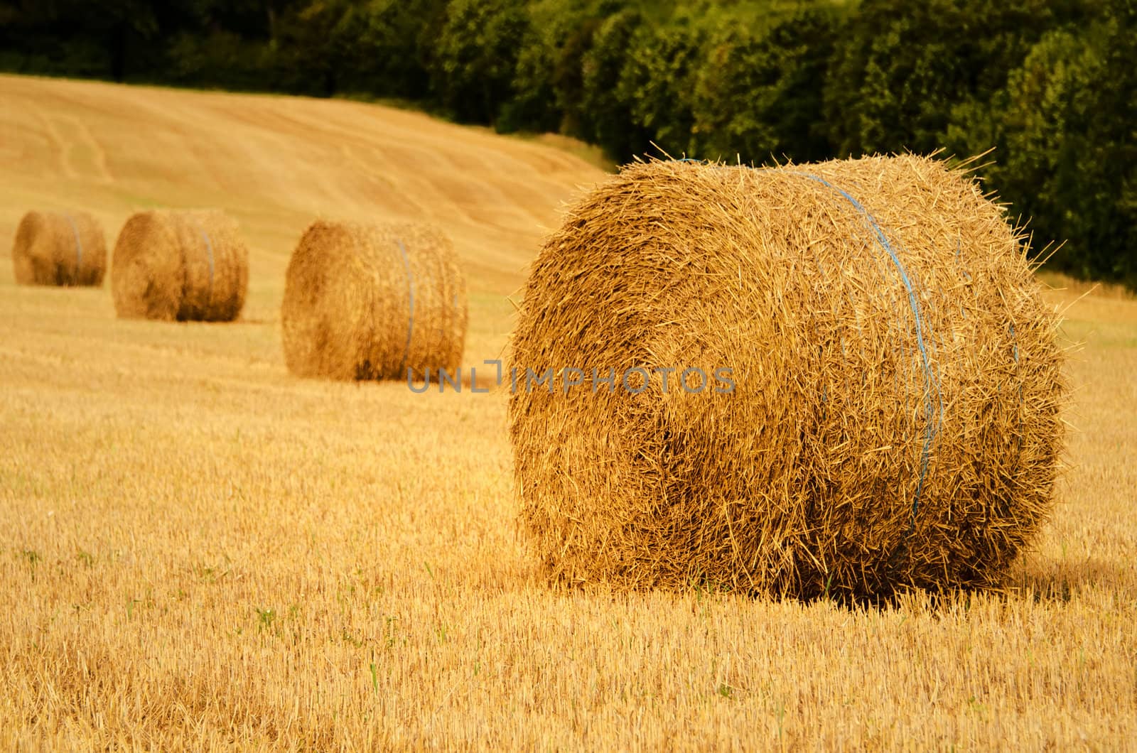 four straw bale in a field