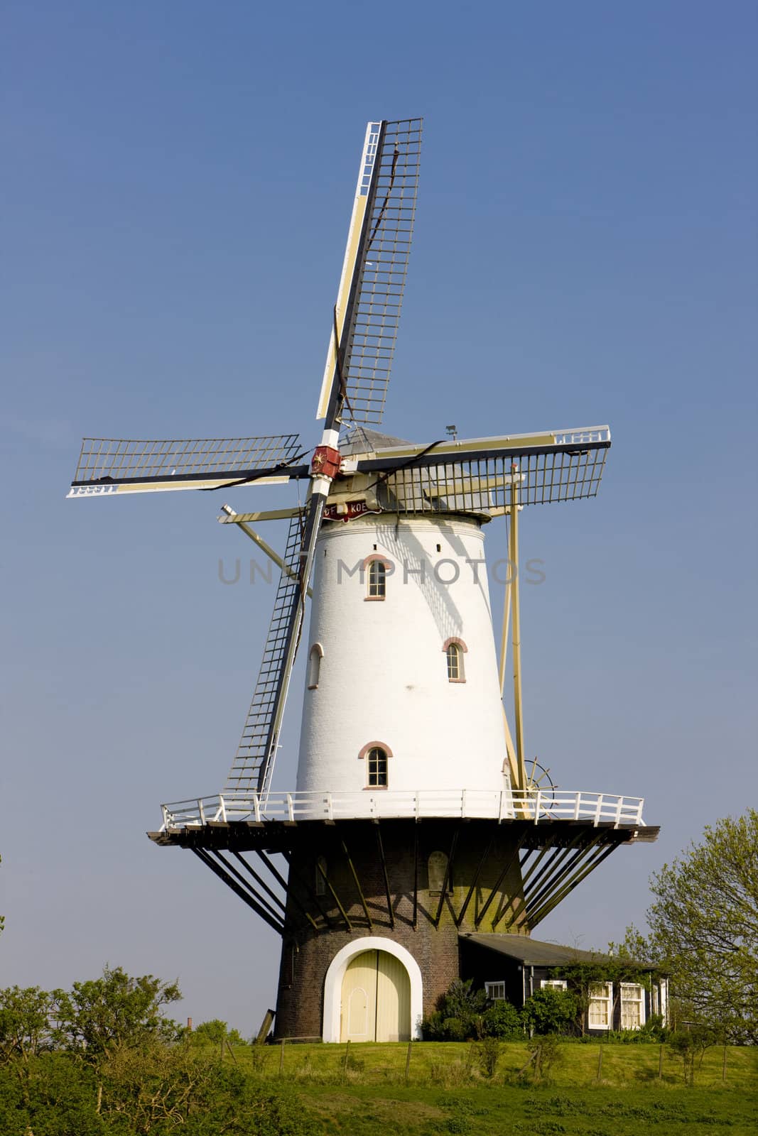 windmill, Veere, Zeeland, Netherlands by phbcz