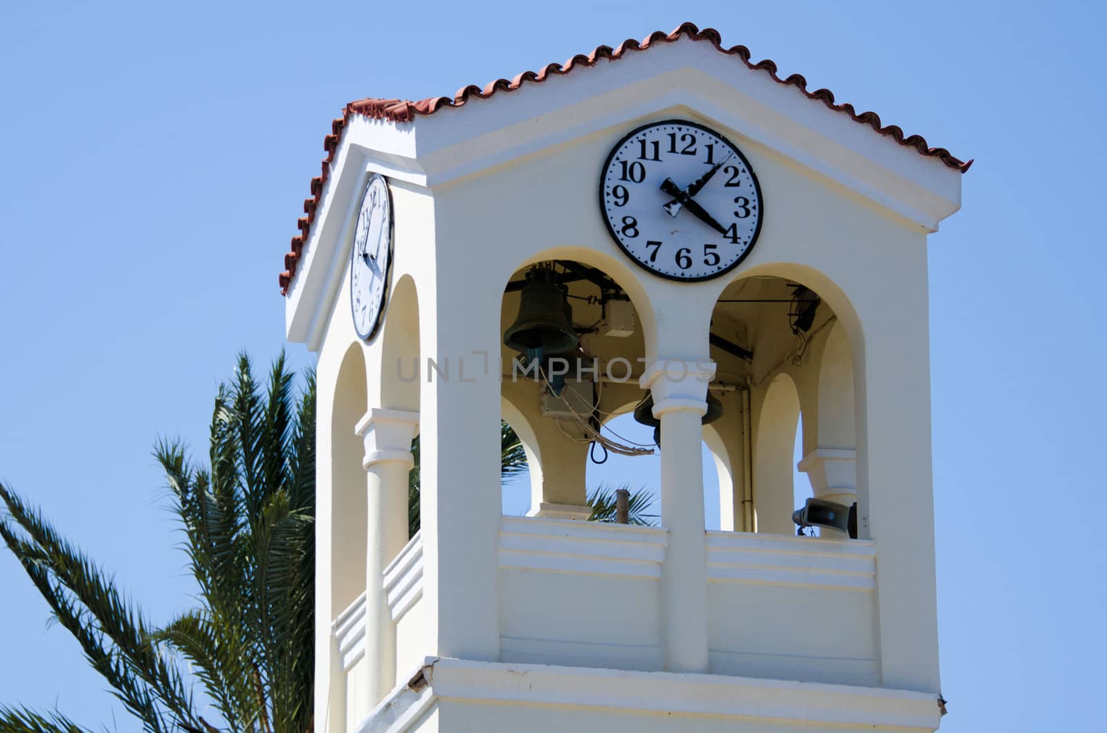 Church  and the palm tree