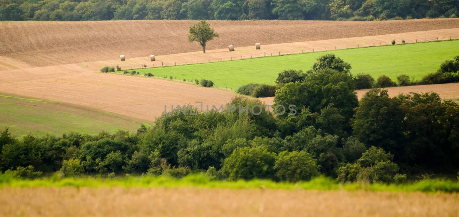 the countryside with fields meadows and trees by njaj