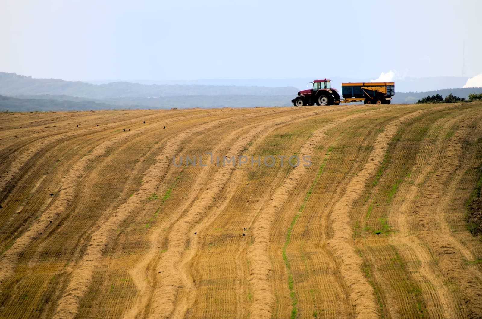 the tractor in the fields