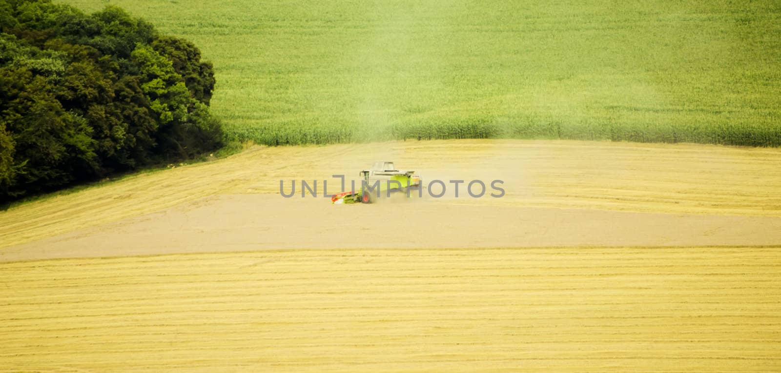 the fields meadows and forests by njaj