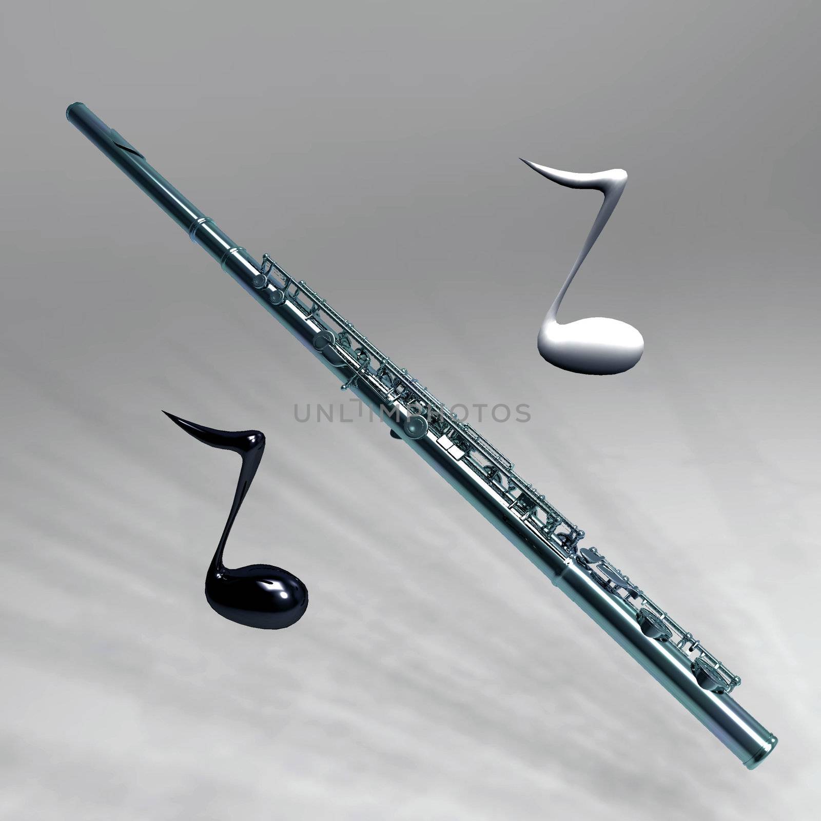 transverse flute and the notes