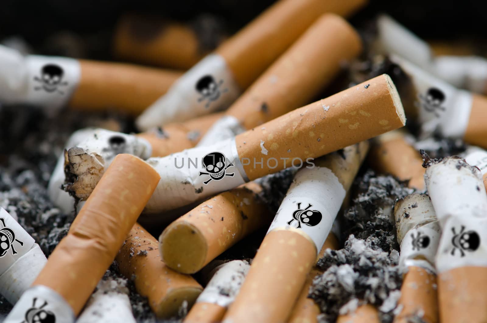 dangerous  cigarettes