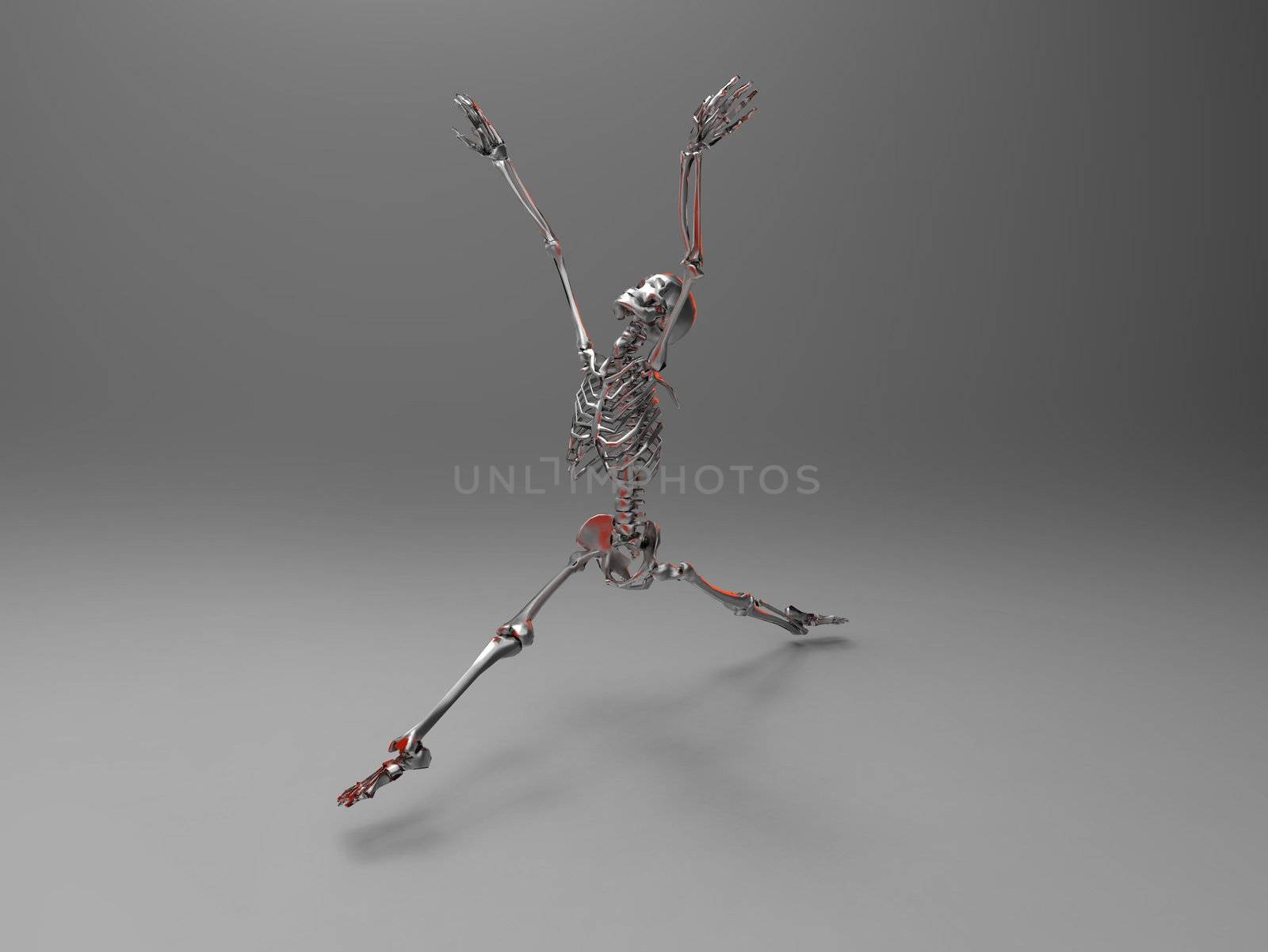 the skeleton