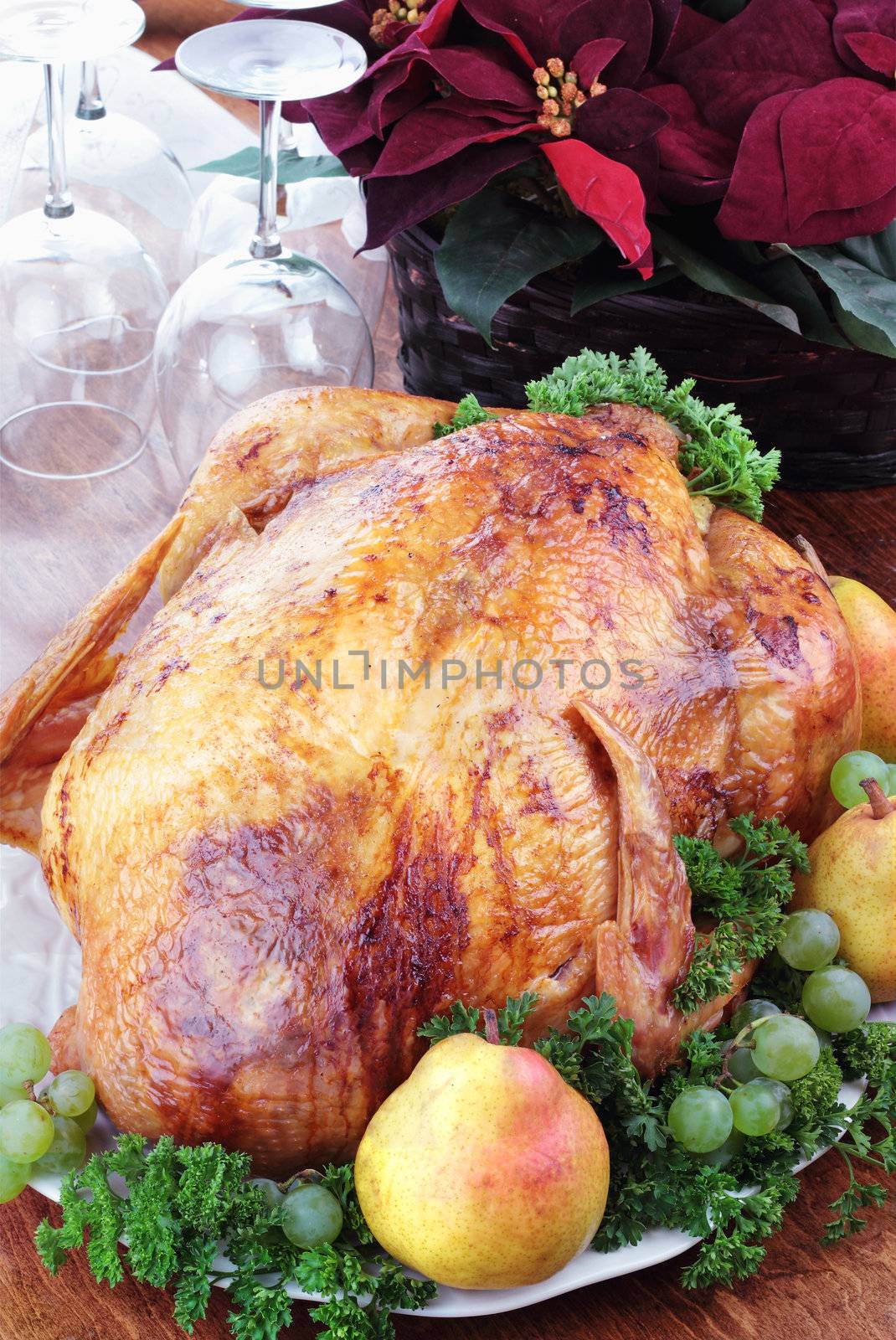 Thanksgiving or Christmas turkey dinner with fresh pears, grapes and parsley. Poinsettia flower arrangement and wine glasses in background.
