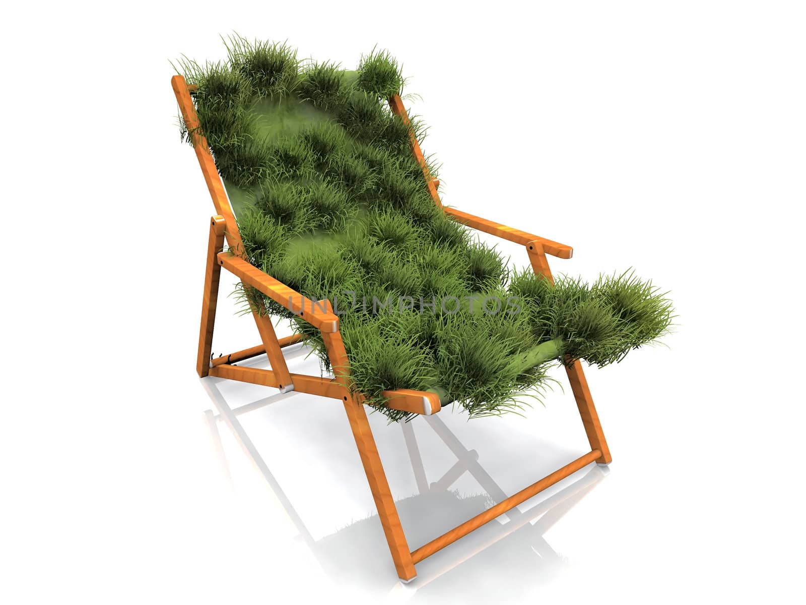 the  lounge chair with grass